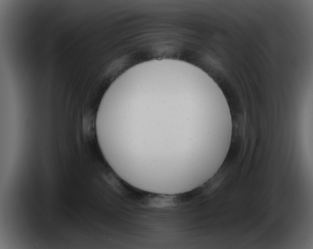 X0000083590138200703021855