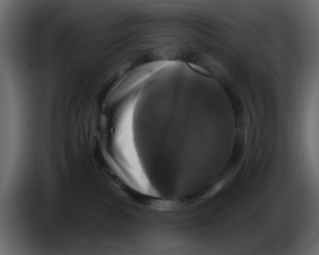 X0000083590139200703021855