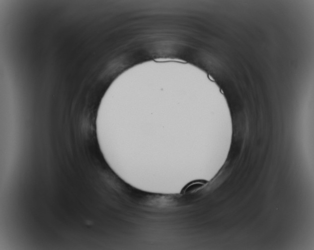 X0000083590140200703021855