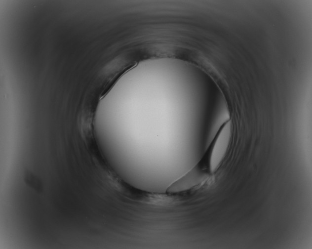 X0000083590141200703021855