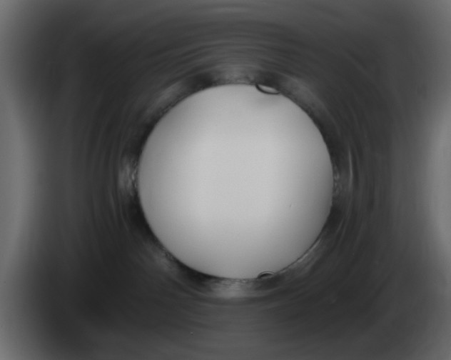 X0000083590142200703021855