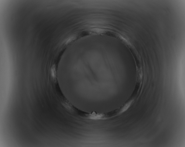 X0000083590143200703021855