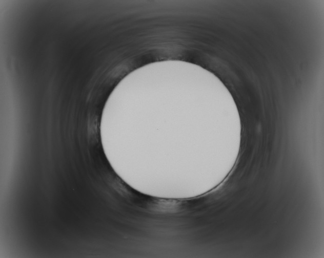 X0000083590144200703021855