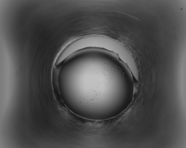 X0000083590148200703021854