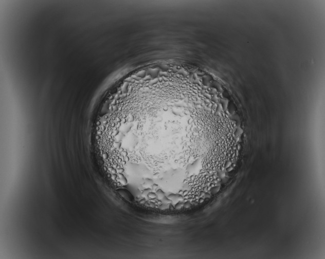 X0000083590149200703021854