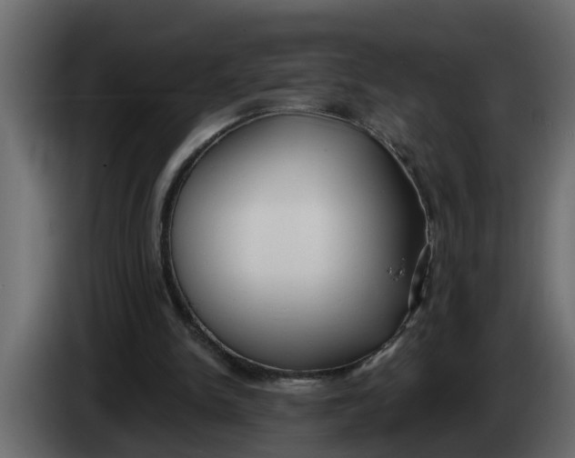 X0000083590150200703021854