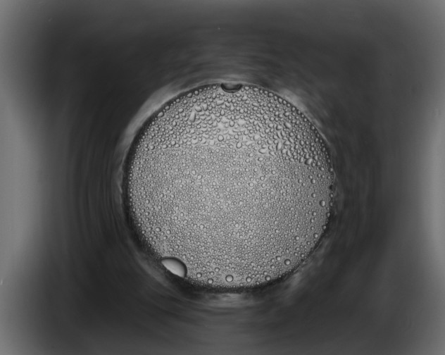 X0000083590151200703021854