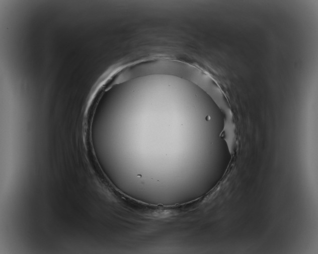 X0000083590152200703021854
