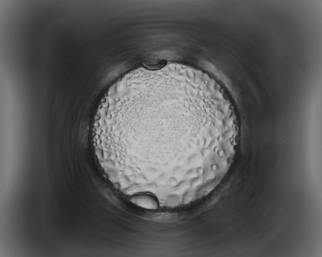X0000083590153200703021854
