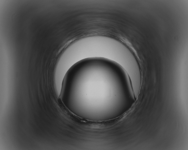 X0000083590154200703021854