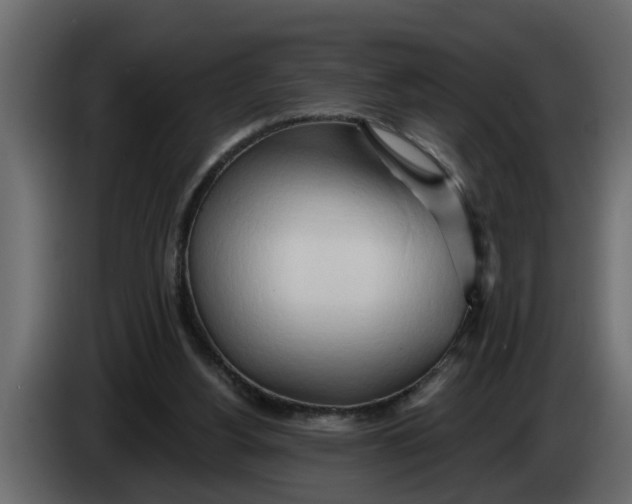 X0000083590156200703021854