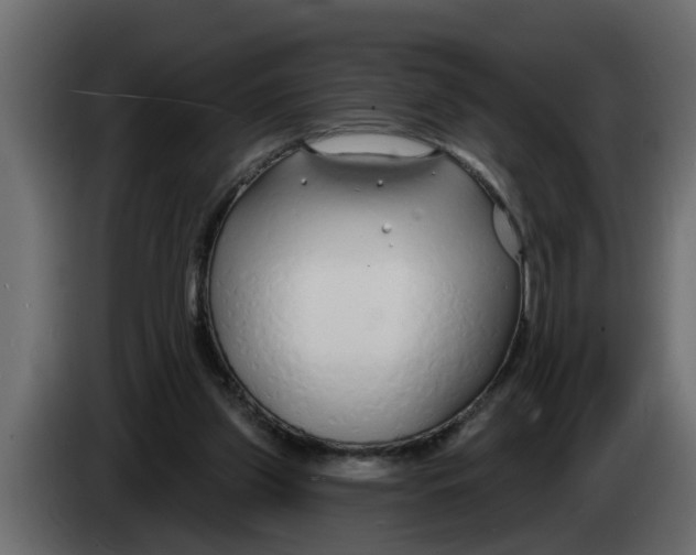 X0000083590157200703021854