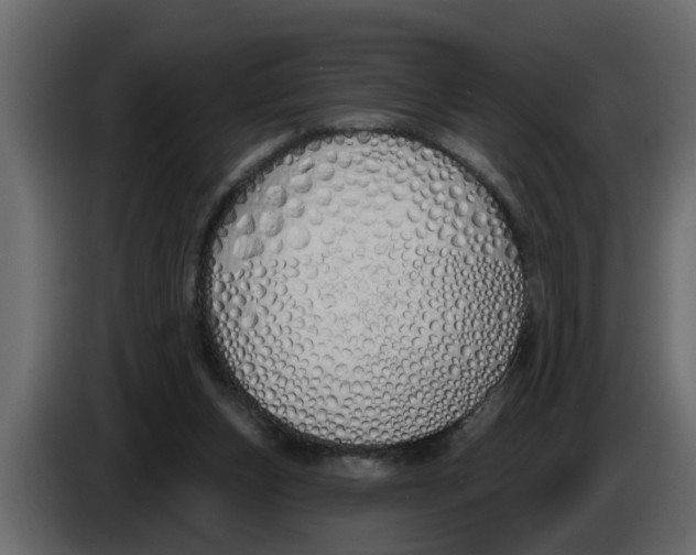X0000083590159200703021854
