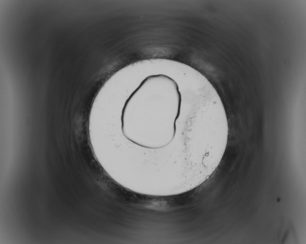 X0000083590162200703021855