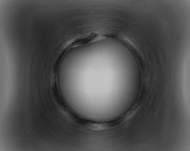 X0000083590164200703021855