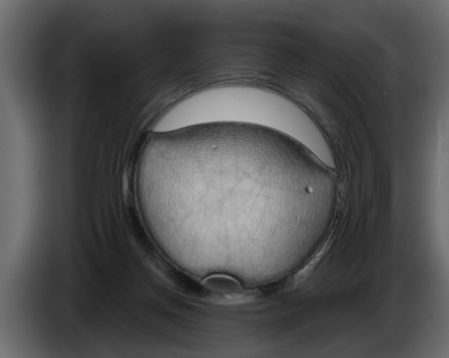 X0000083590166200703021855