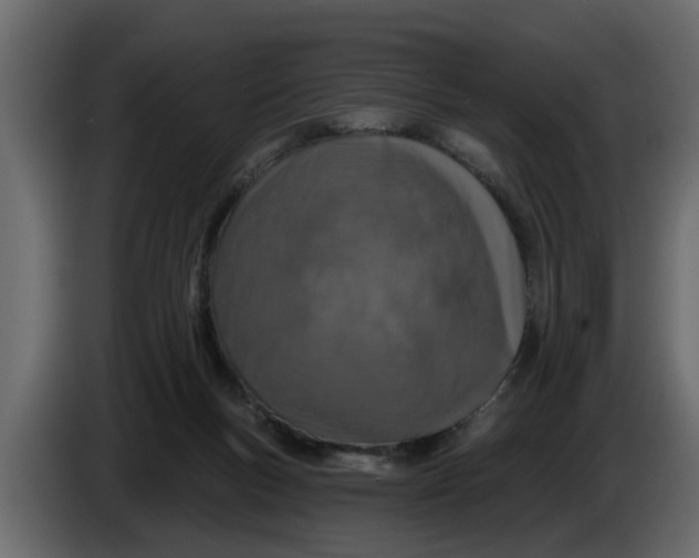 X0000083590167200703021855