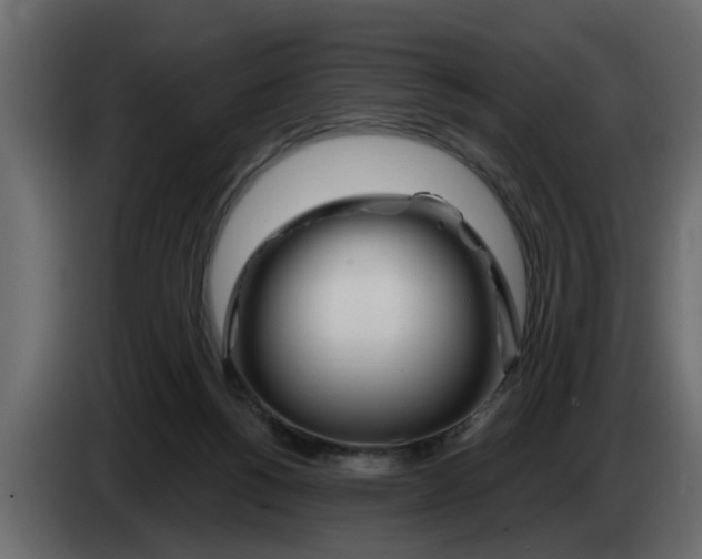 X0000083590168200703021855