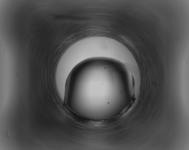 X0000083590170200703021855