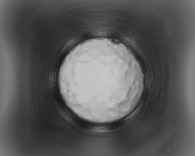 X0000083590171200703021855