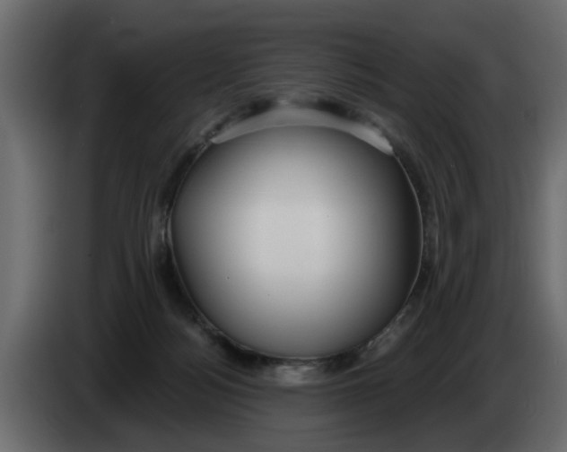 X0000083590172200703021855