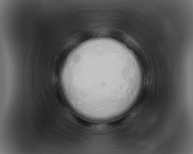 X0000083590173200703021855