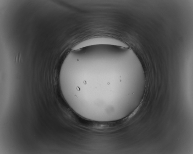 X0000083590174200703021855