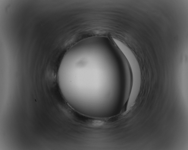 X0000083590176200703021855