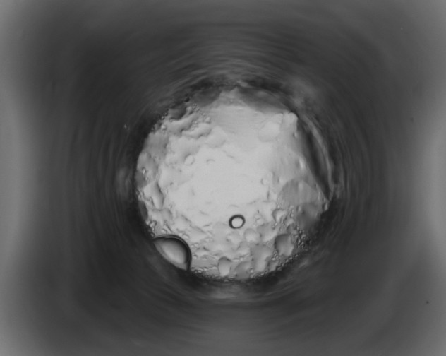 X0000083590177200703021855