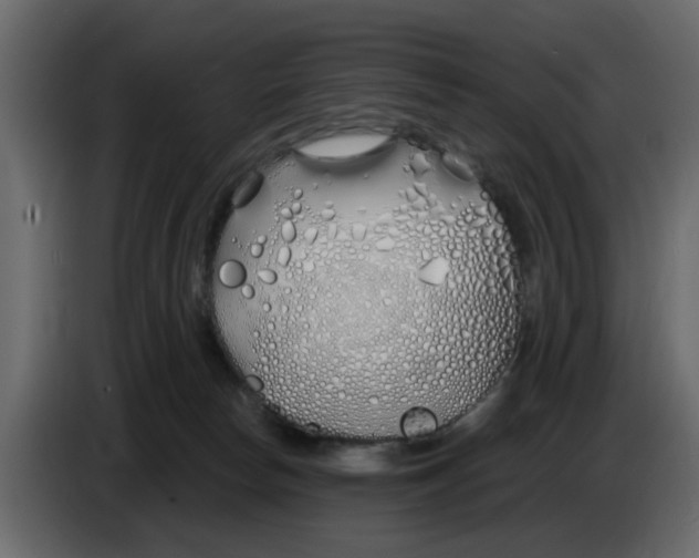 X0000083590178200703021855