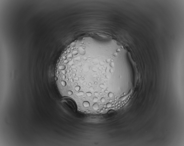 X0000083590179200703021855