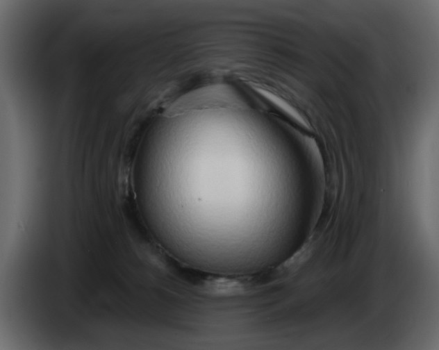 X0000083590180200703021855