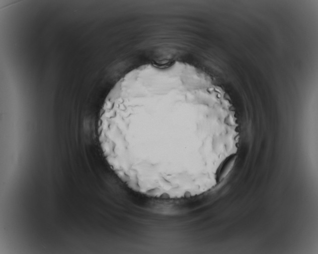 X0000083590182200703021855