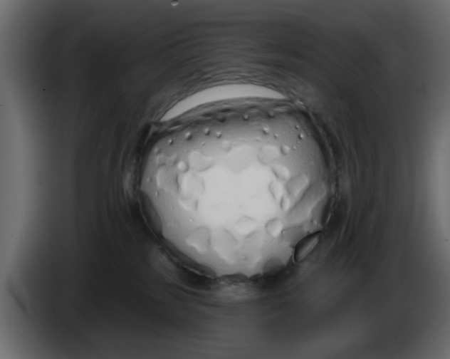 X0000083590185200703021855
