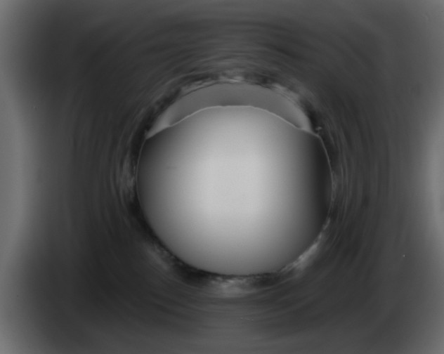 X0000083590186200703021855