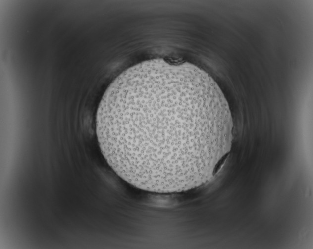 X0000083590187200703021855