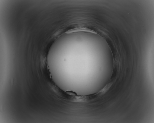 X0000083590188200703021855