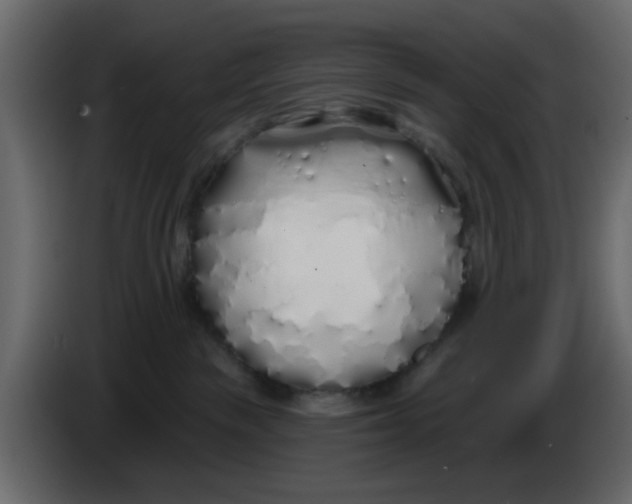 X0000083590189200703021855
