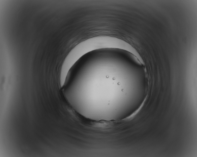 X0000083590190200703021855