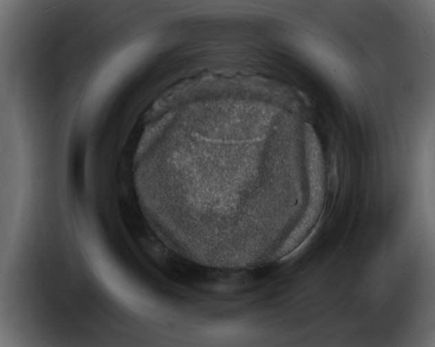 X0000083590191200703021855