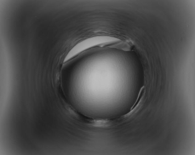 X0000083590192200703021855