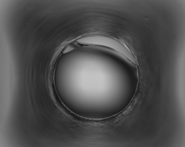 X0000083590193200703021854
