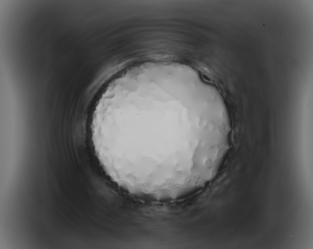 X0000083590194200703021854