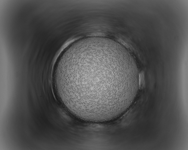 X0000083590195200703021854