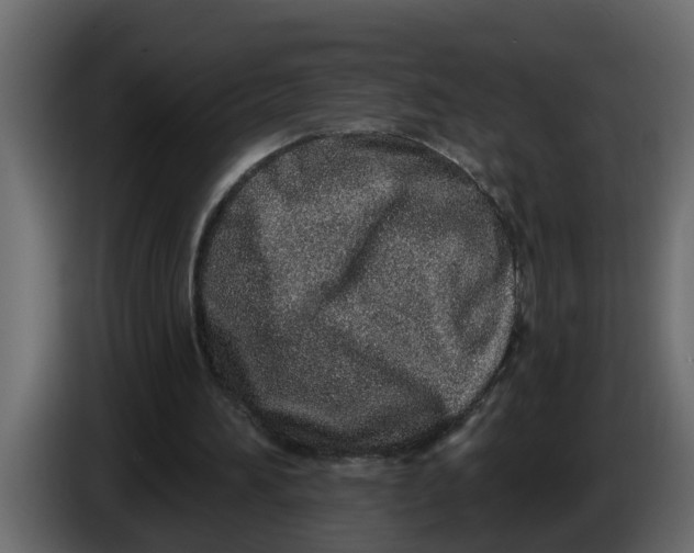 X0000083590196200703021854