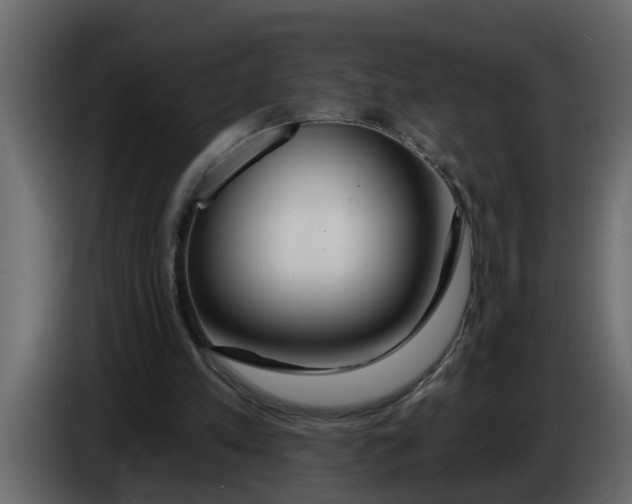 X0000083590197200703021854