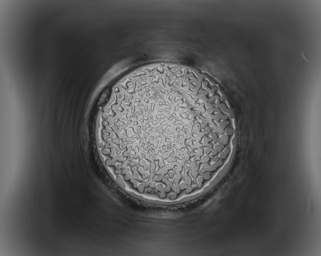 X0000083590198200703021854