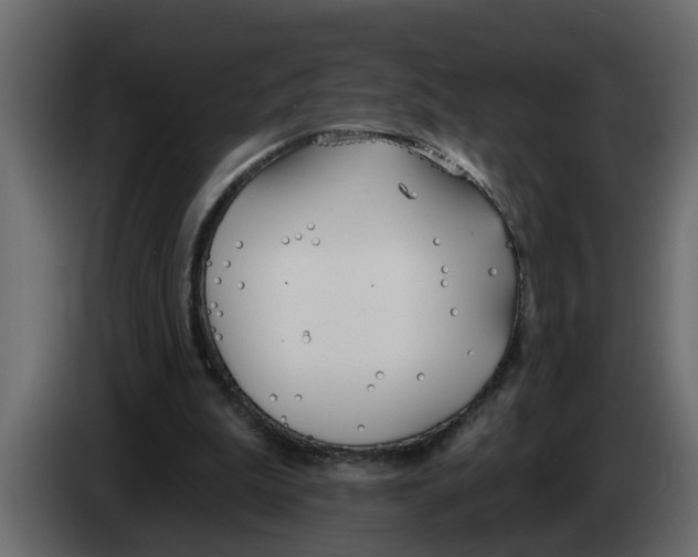 X0000083590199200703021854