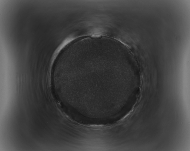 X0000083590200200703021854