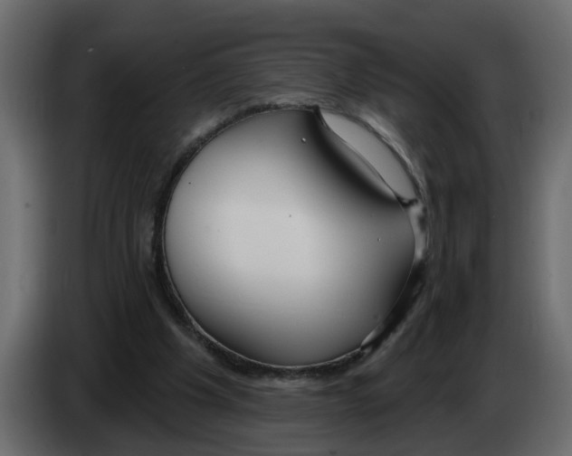 X0000083590201200703021854